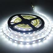 LED dây 5054 Senyang