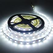 LED dây 5054 Senyang